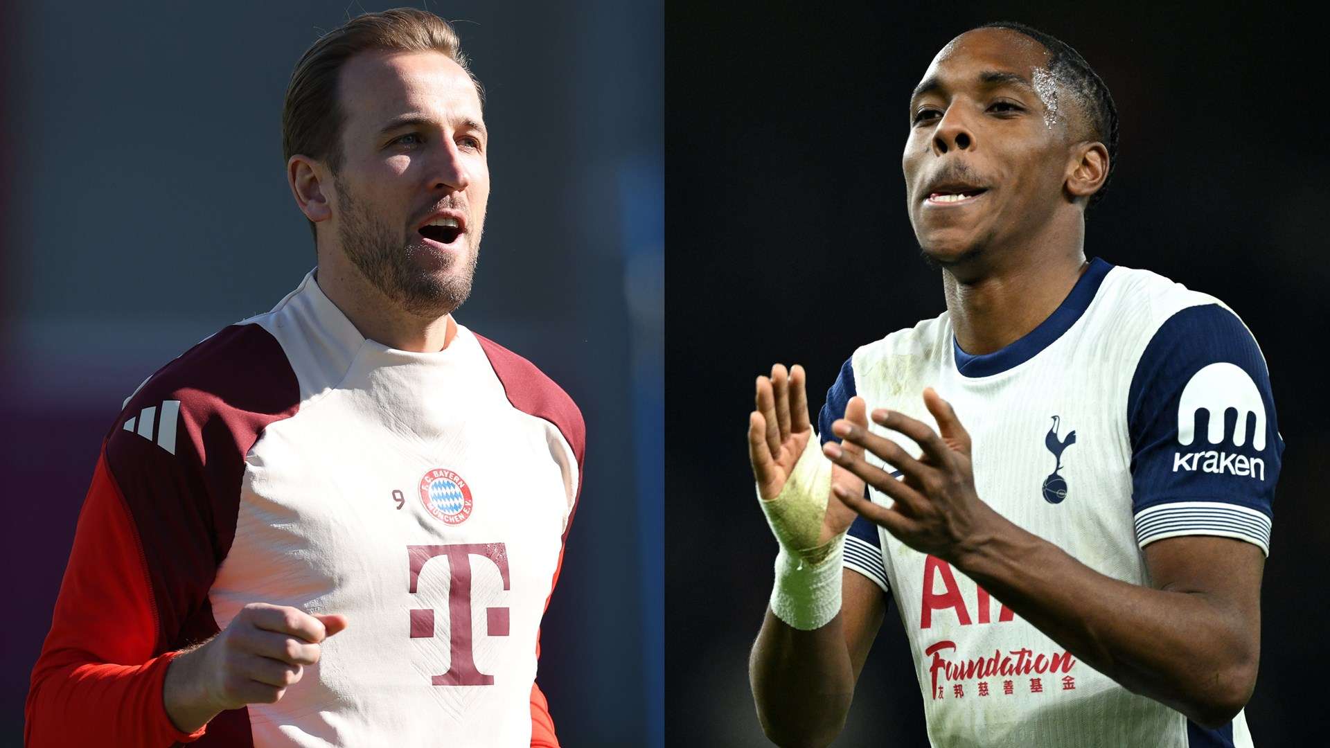 其他日本球 其他日本球