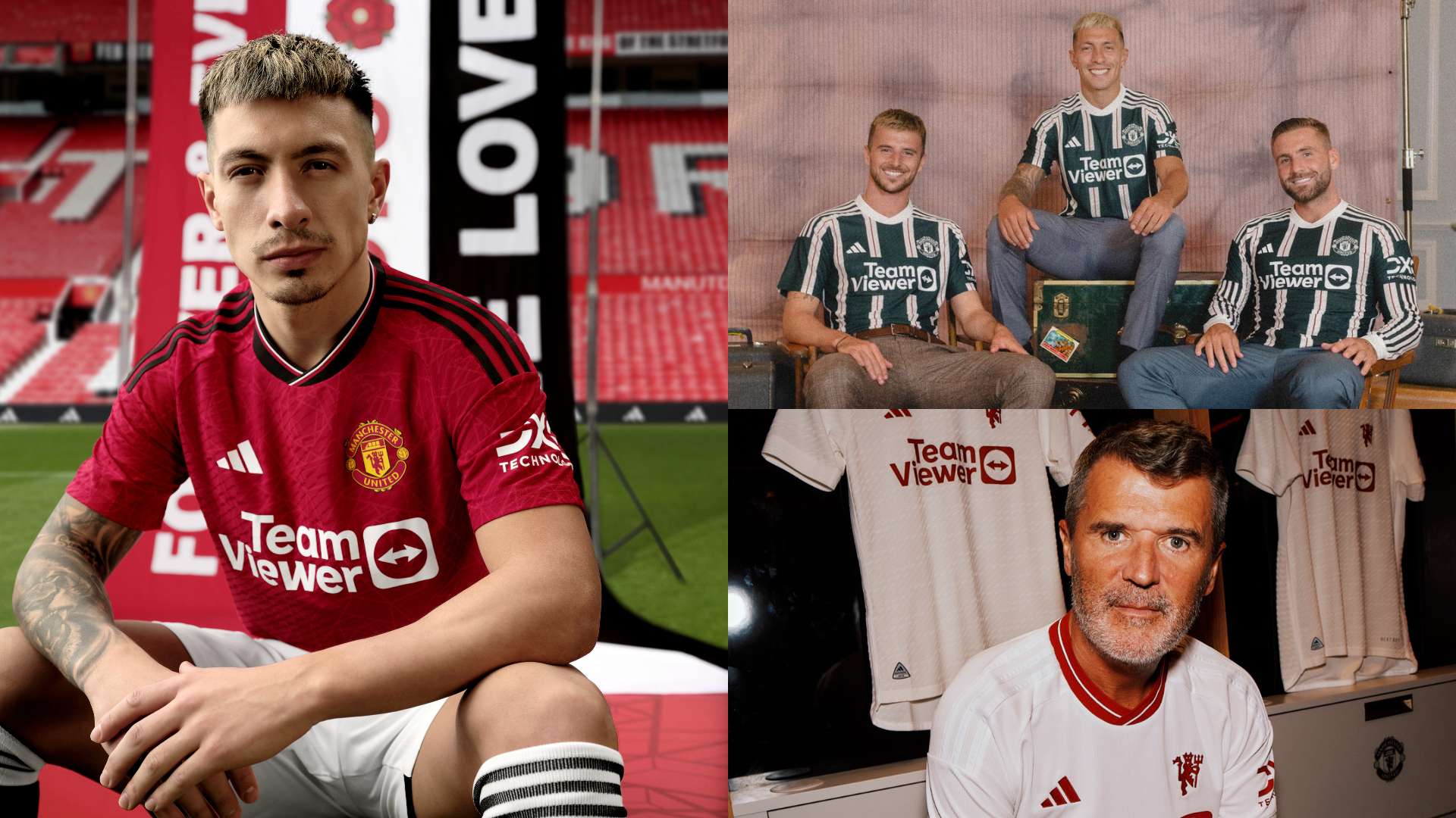 小蜘蛛即若 小蜘蛛即若