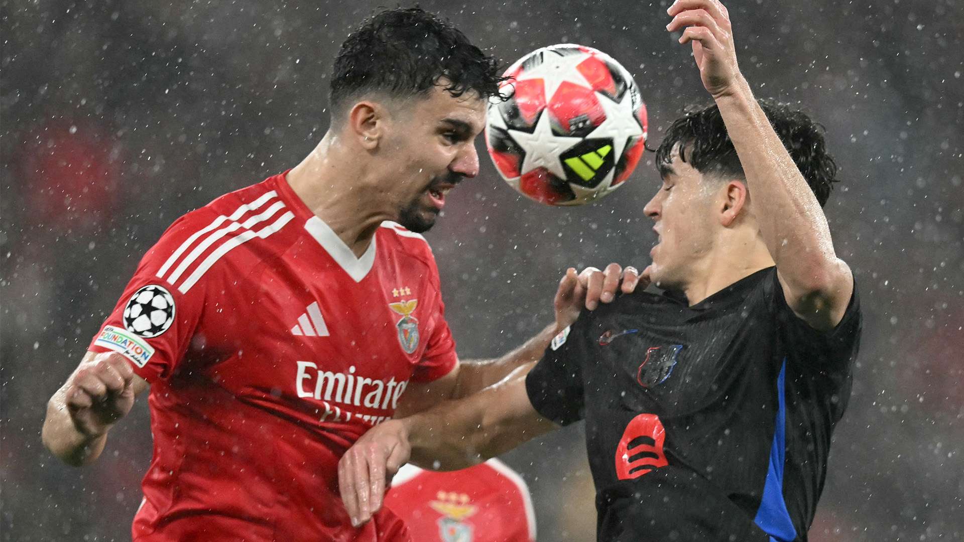 各地的顶尖 各地的顶尖